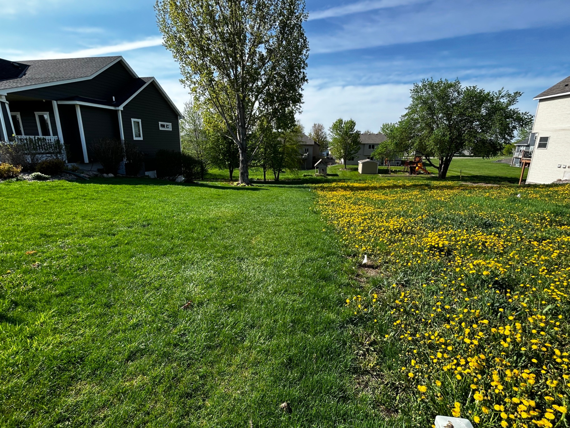 5 Signs of Spring Lawn Damage (and How to Fix Them)