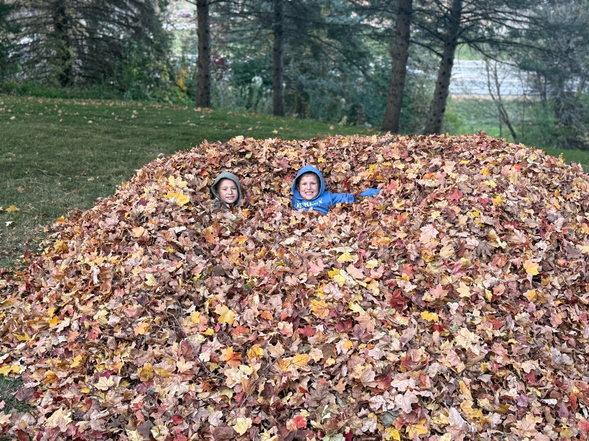 Liberty Lawn & Snow cleanups in the West Metro